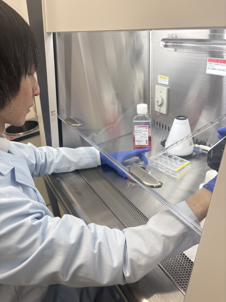研究室で実験に取り組む様子